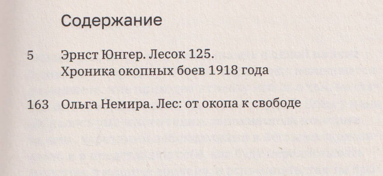 Лесок 125. Хроника окопных боев 1918 года — Эрнст Георг Юнгер (3)