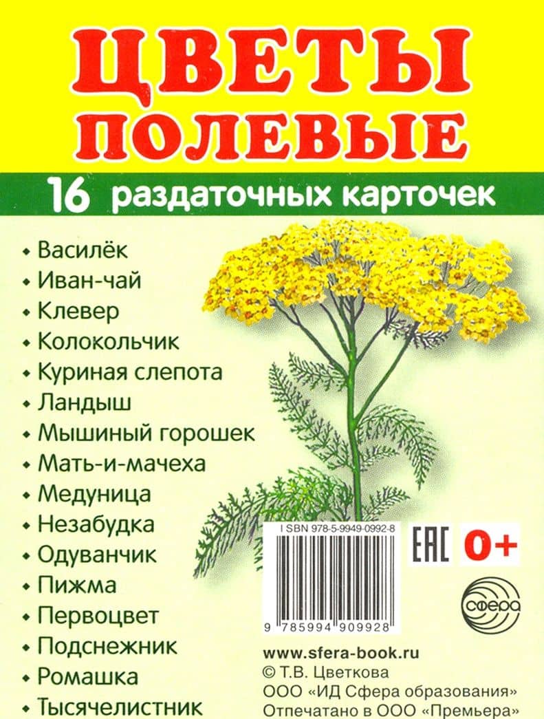 Раздаточные карточки "Цветы полевые" (16 карточек) (2)