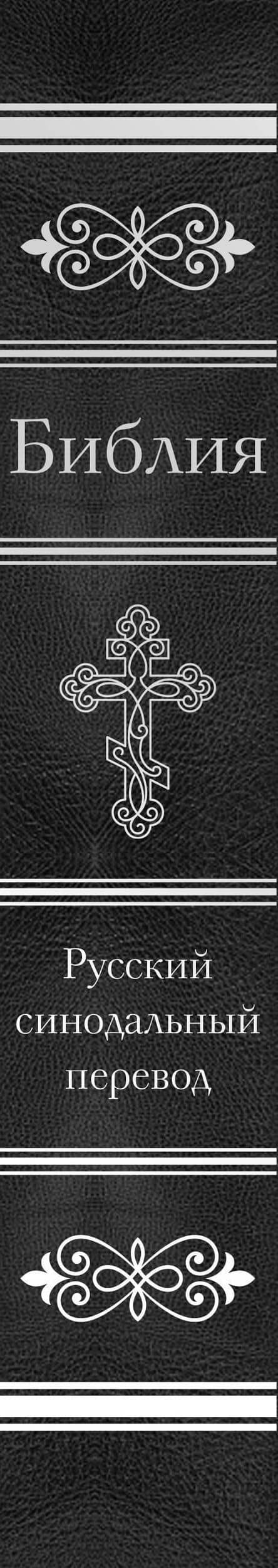 Библия. Ветхий и Новый Завет (77 книг, с индексами и серебрянным обрезом, черная экокожа на молнии) (3)