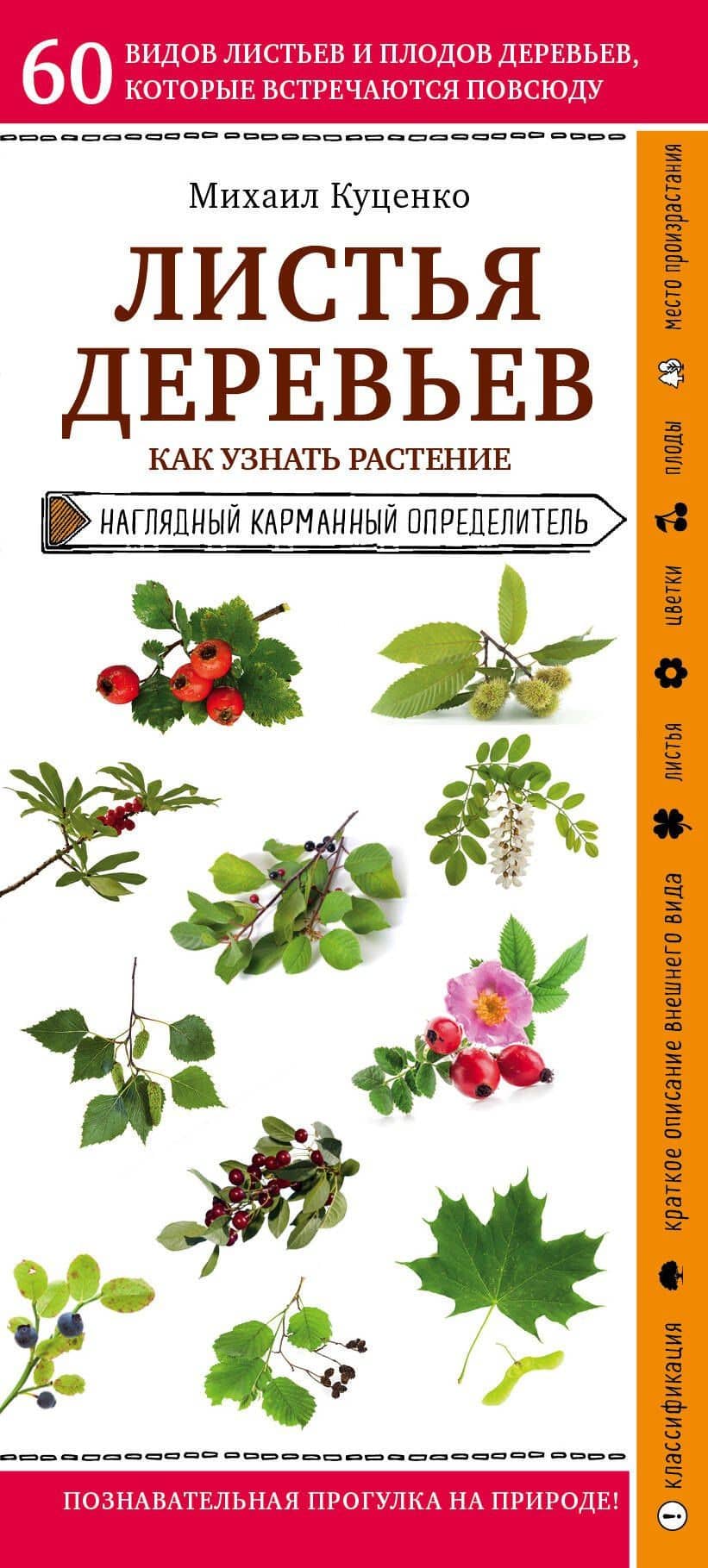 Листья деревьев. Как узнать растение. Наглядный карманный определитель — Михаил Евгеньевич Куценко