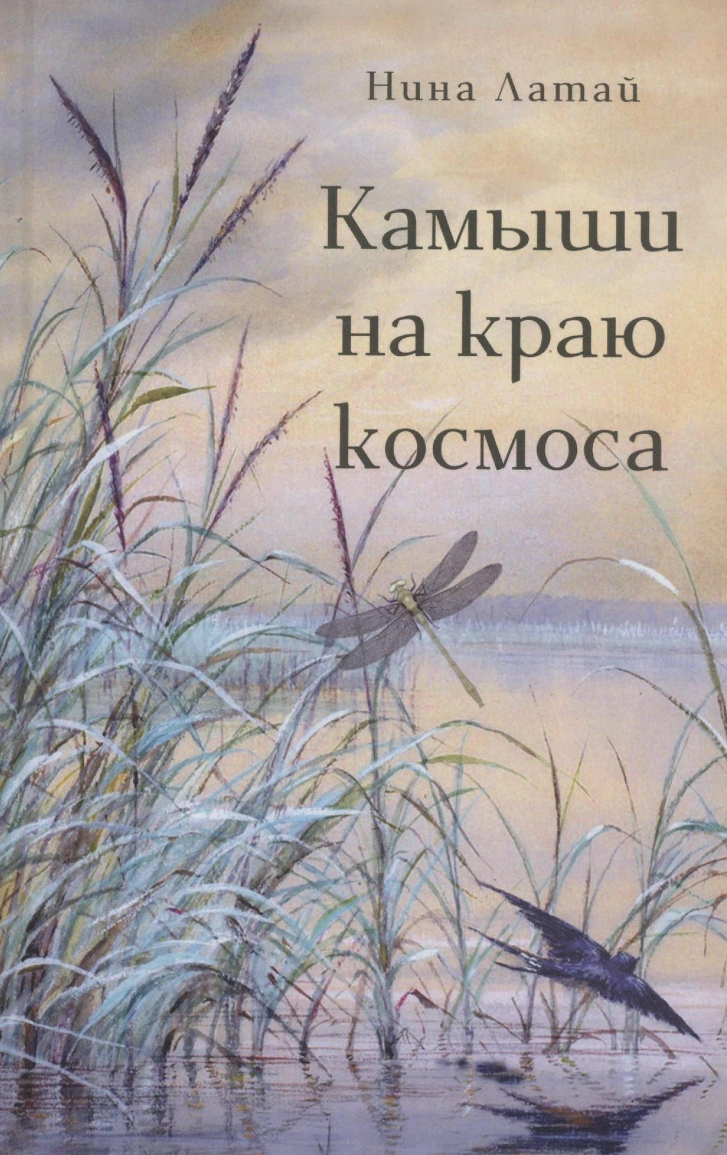 Камыши на краю космоса — Нина Латай Н.