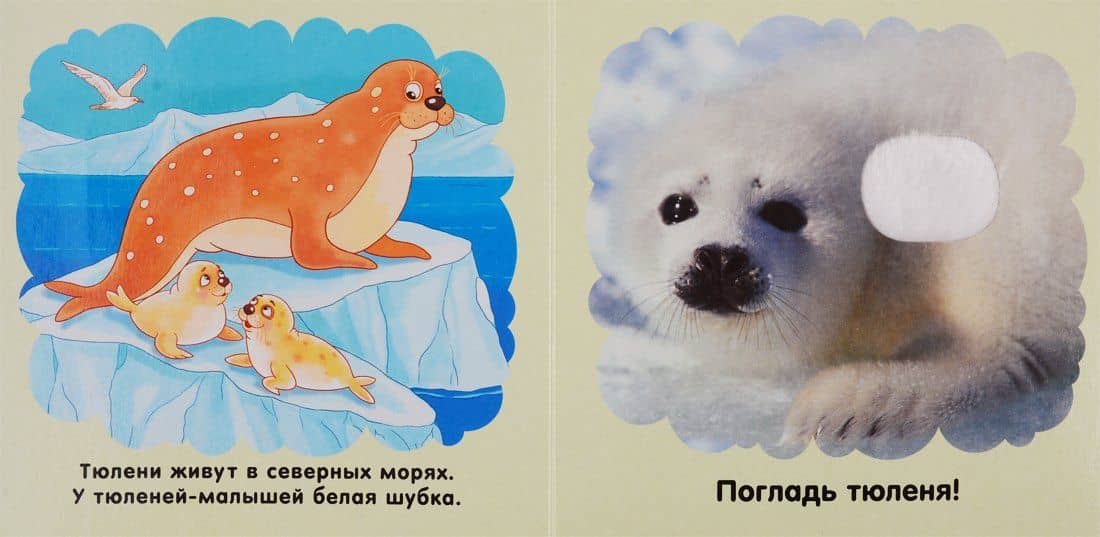 Морские обитатели (3)