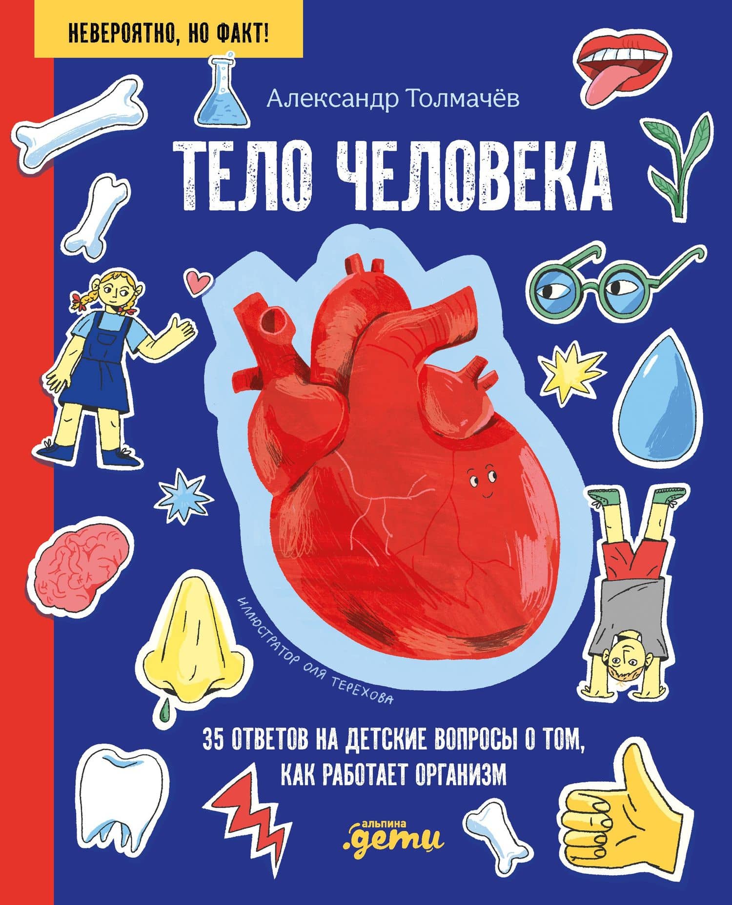 Тело человека. 34 ответа на детские вопросы о том, как работает тело — Александр Вячеславович Толмачев