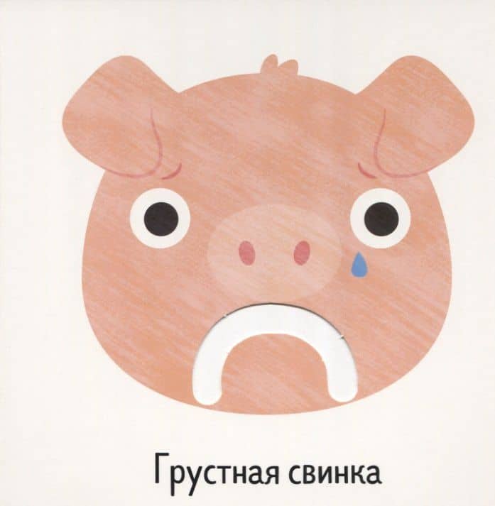 Первые книжки малыша. Мои первые эмоции (2)