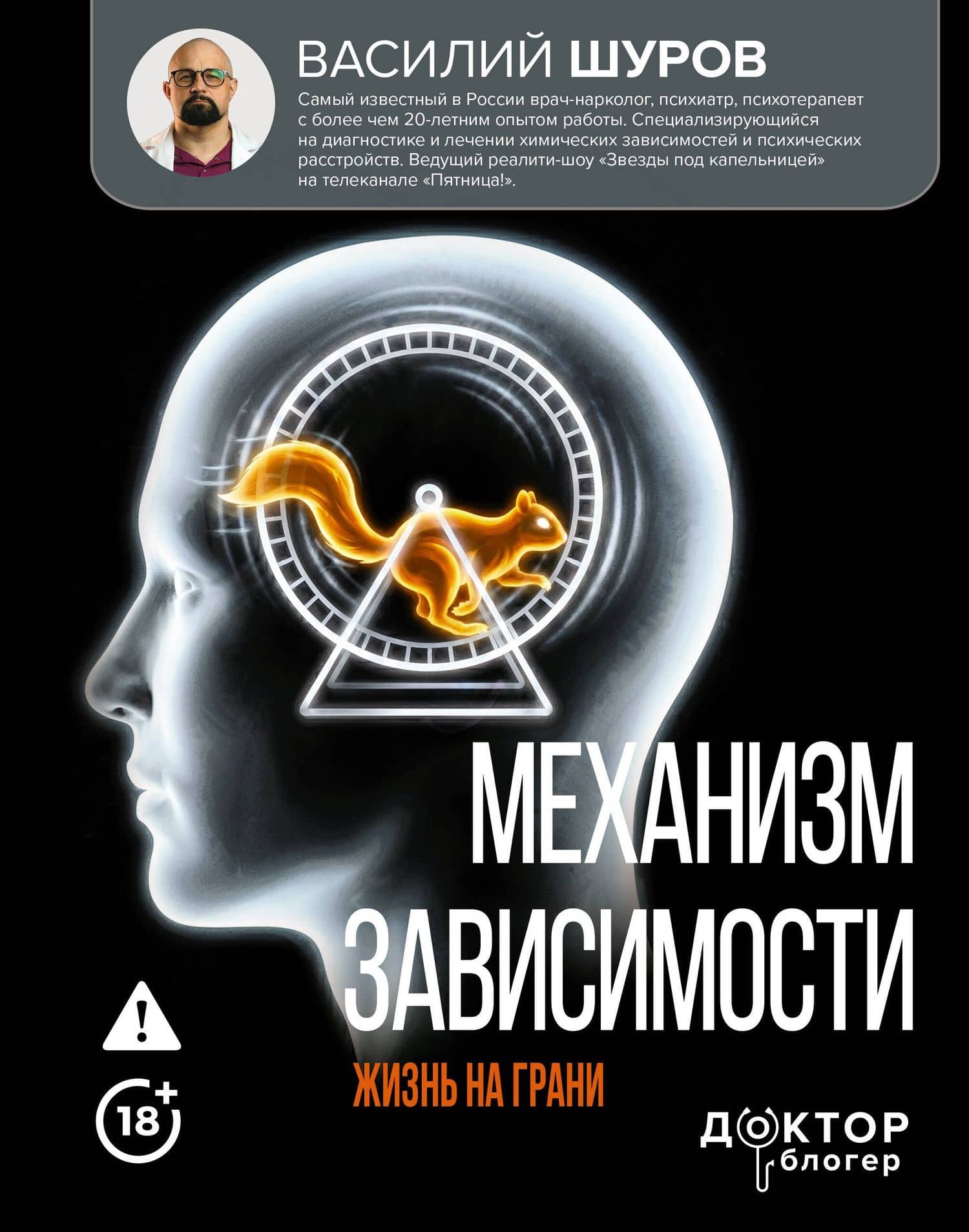 Механизм зависимости. Жизнь на грани — Василий Александрович Шуров
