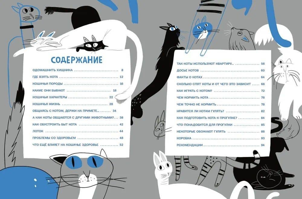 Твои коты — Катя Климова (3)