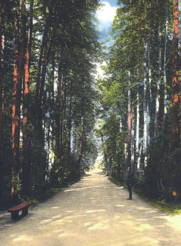 Прогулки в «Царицыне» с краеведом. 3-е издание — Елена Викторовна Офицерова (2)