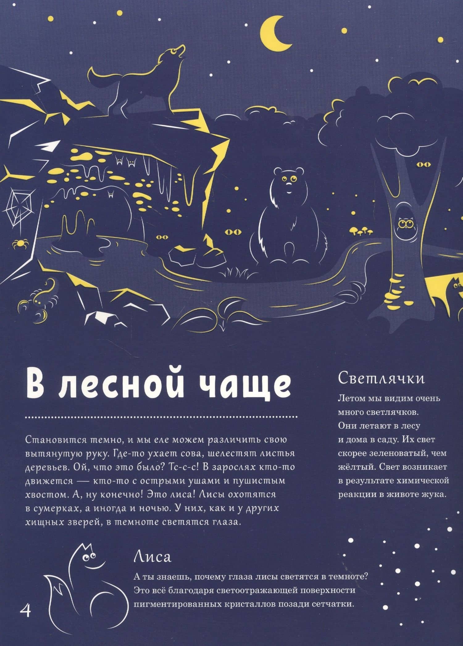 Светится в темноте. Природа ночью — Петра Бартикова (2)