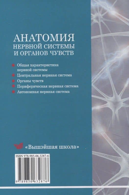 Анатомия нервной системы и органов чувств — Юлия Александровна Гусева (2)