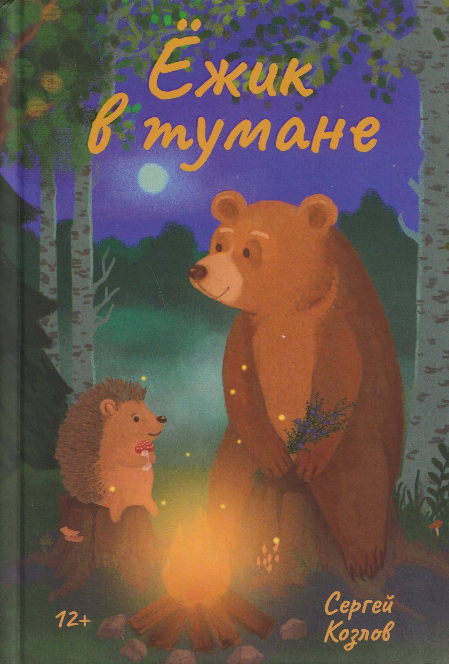 Обложка книги