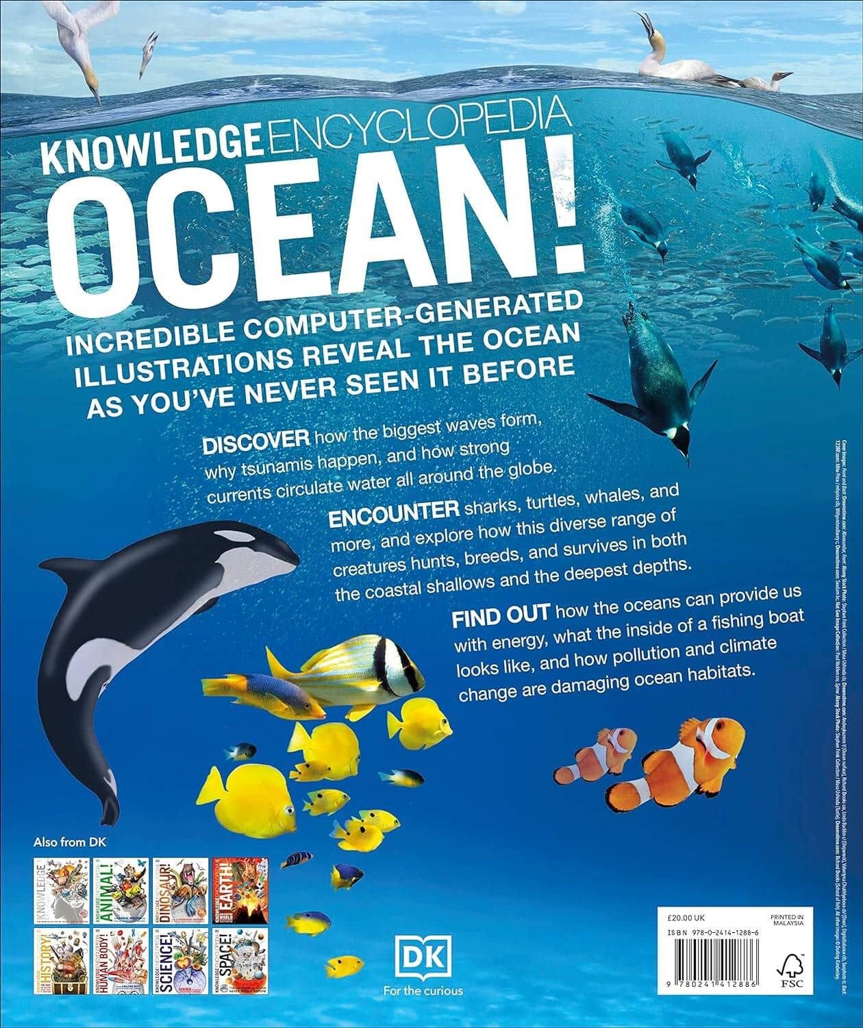 Knowledge Encyclopedia Ocean! Энциклопедия знаний Океан / Книги на английском языке (2)
