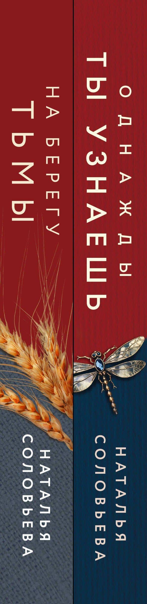 Комплект из 2-х книг: Однажды ты узнаешь + На берегу Тьмы — Соловьева Н.В. (3)
