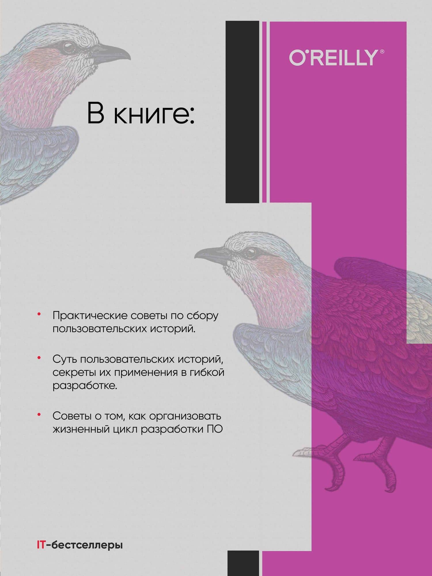 Пользовательские истории. Искусство гибкой разработки ПО — Джефф Паттон (3)