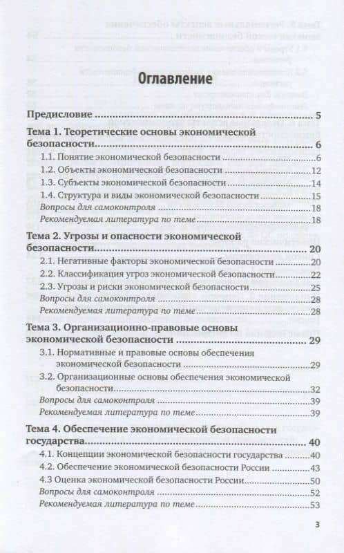 Экономическая безопасность. Учебное пособие для вузов (2)