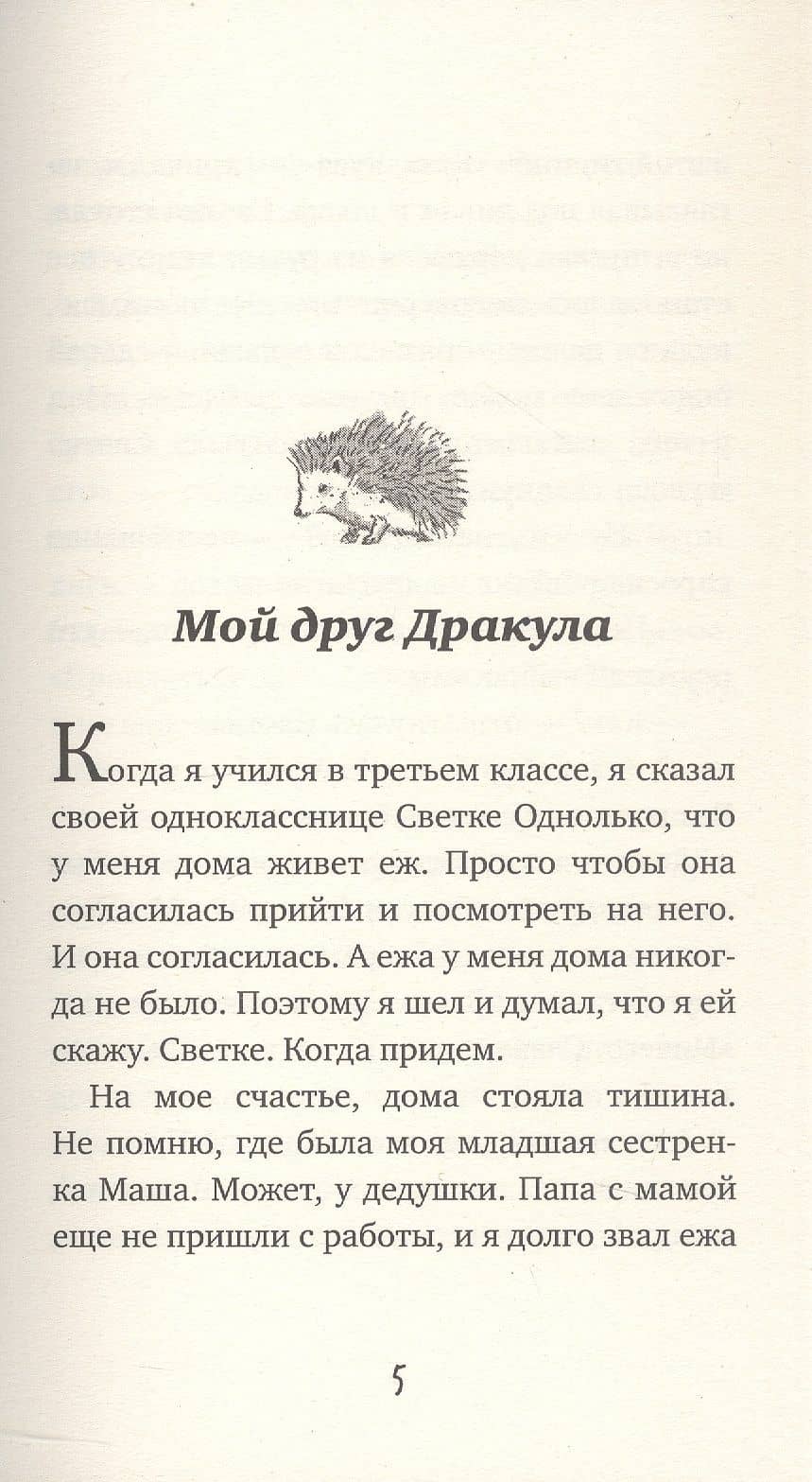 Приключения Славки Щукина. 33 истории про вранье. Повесть — Евгений Альбертович Мамонтов (3)