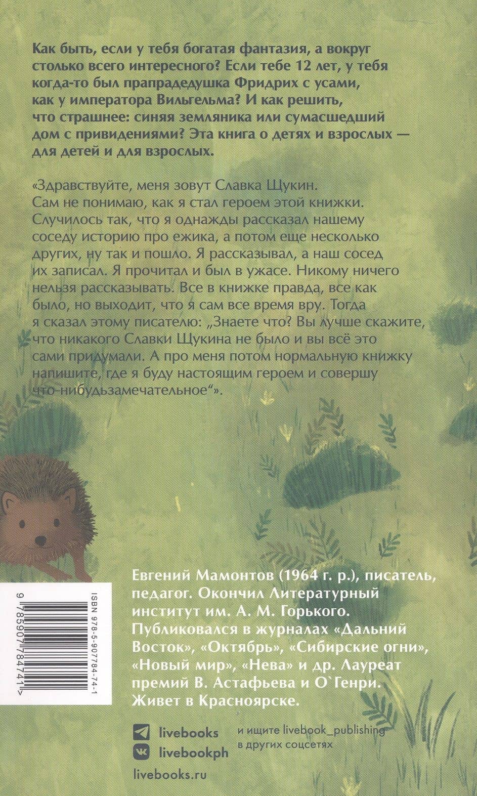 Приключения Славки Щукина. 33 истории про вранье. Повесть — Евгений Альбертович Мамонтов (2)