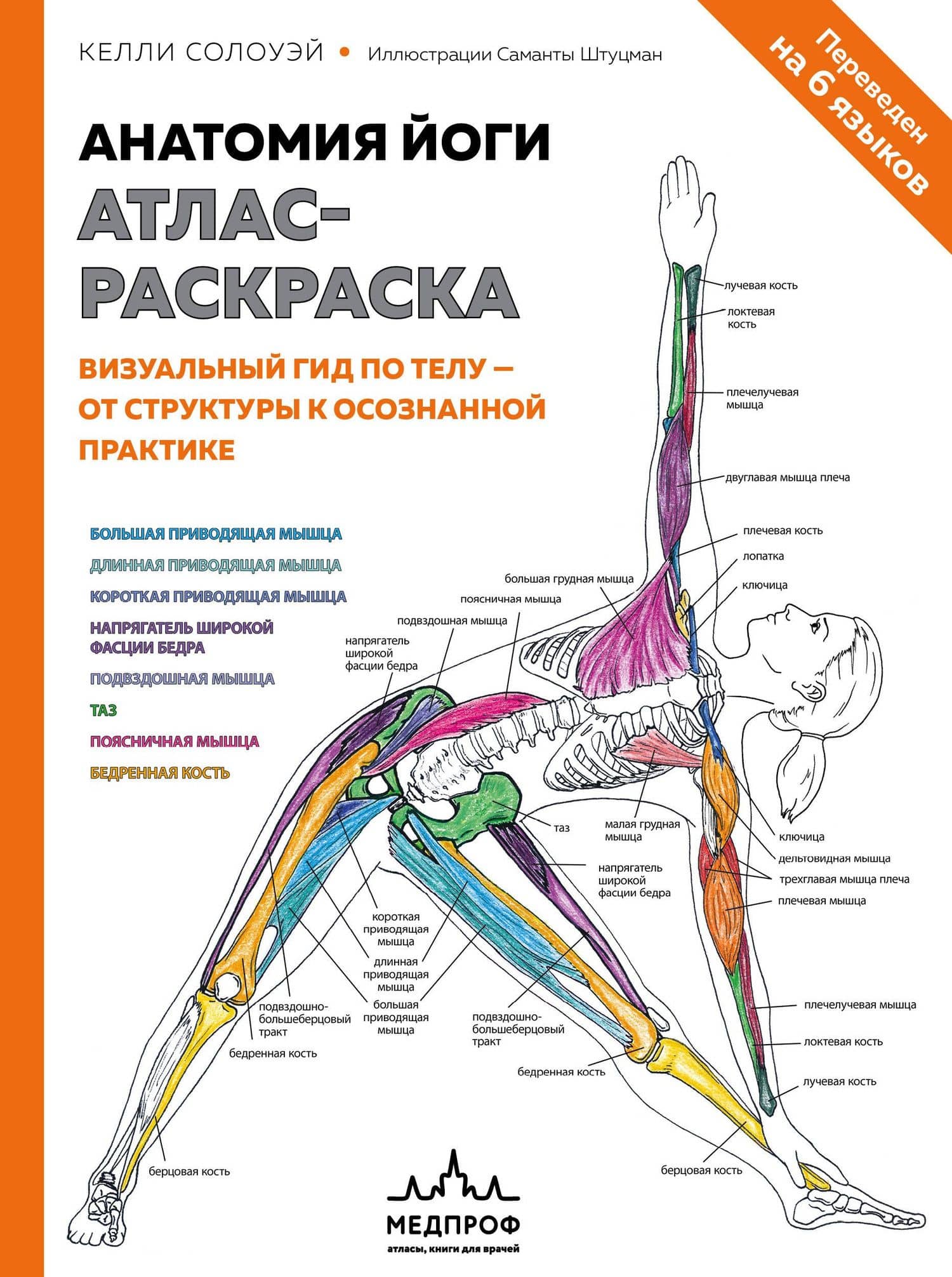 Анатомия йоги: атлас-раскраска. Визуальный гид по телу — от структуры к осознанной практике — Кейли Солоуэй