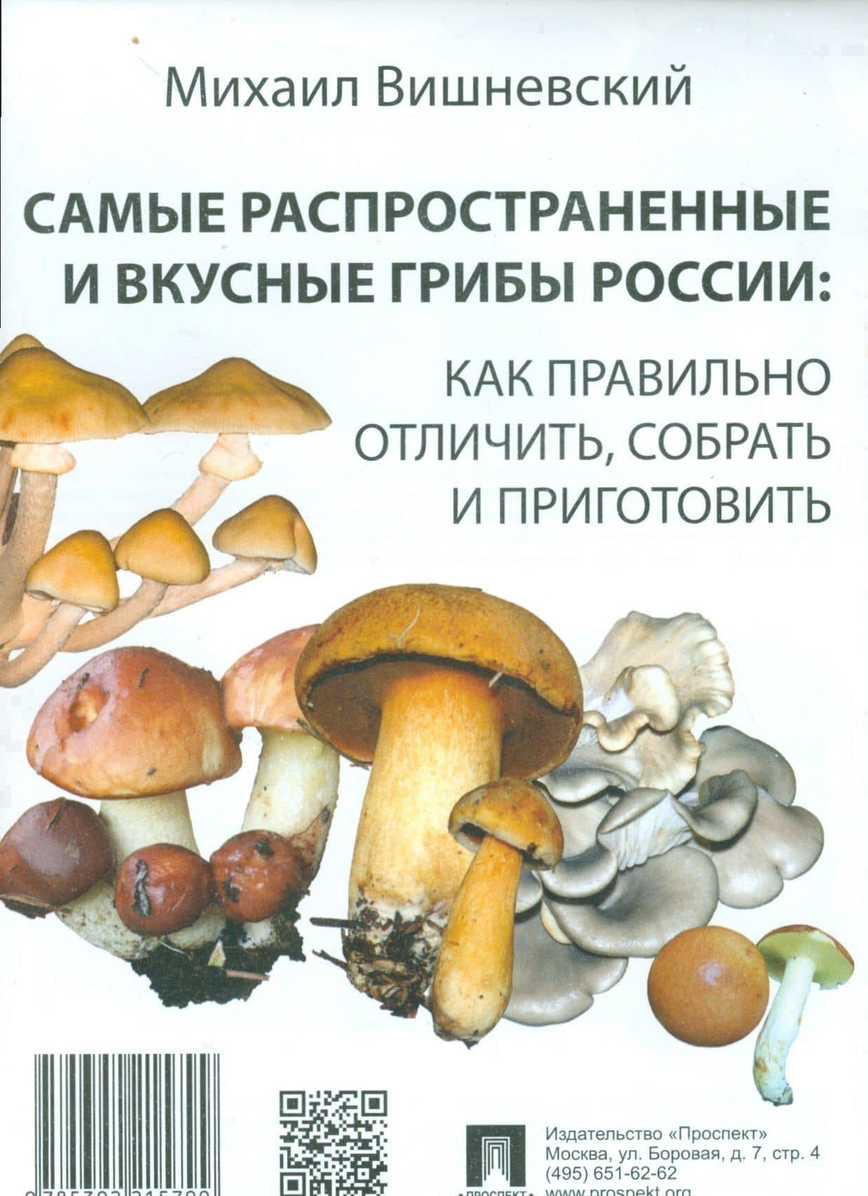 Самые распространенные и вкусные грибы России: как правильно отличить, собрать и приготовить. — Михаил Владимирович Вишневский