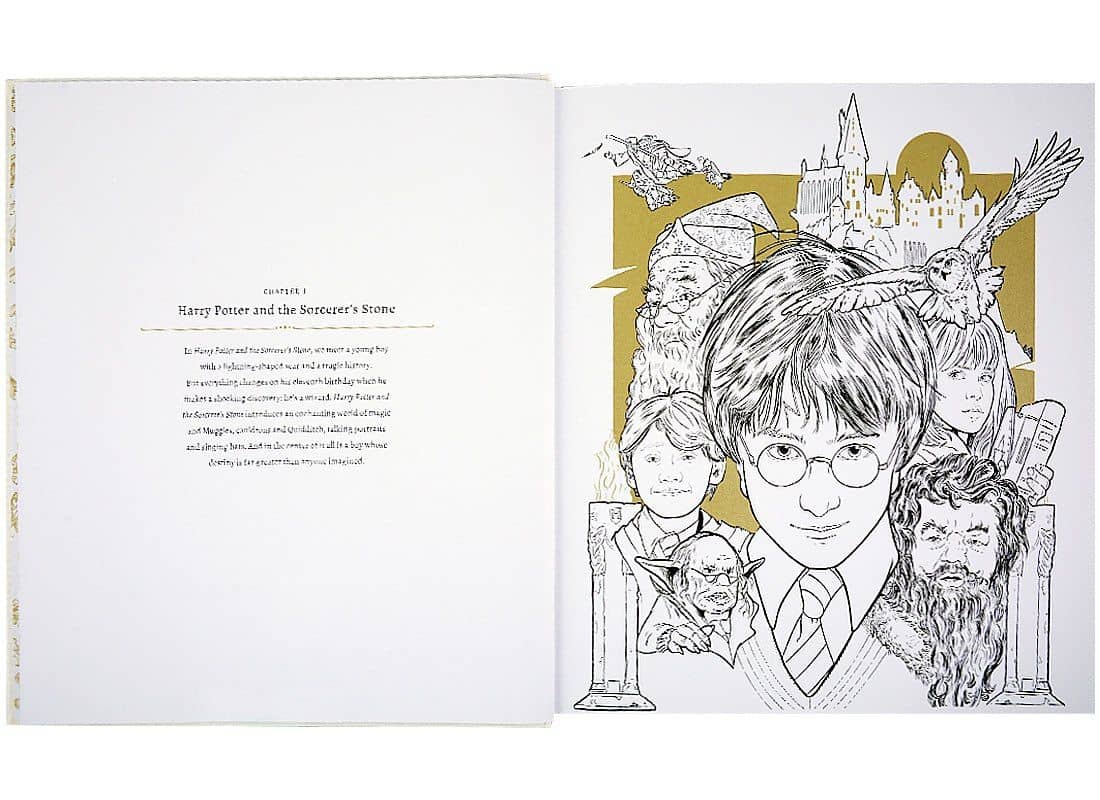 Harry Potter. A Cinematic Gallery — J. Dragunas (2)