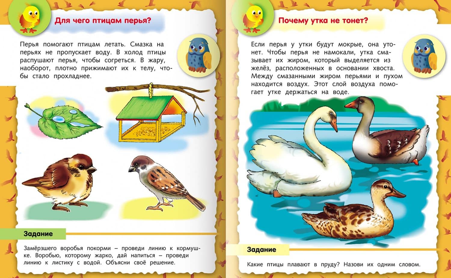 О птицах — Марина Султанова (2)