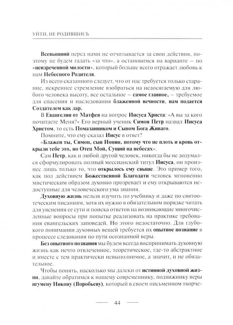 Уйти, не родившись: философско-религиозные эссе — Владимир Иванович Свищенков (2)