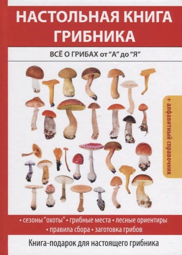 Настольная книга грибника. Все о грибах от А до Я. — Татьяна Владимировна Лагутина