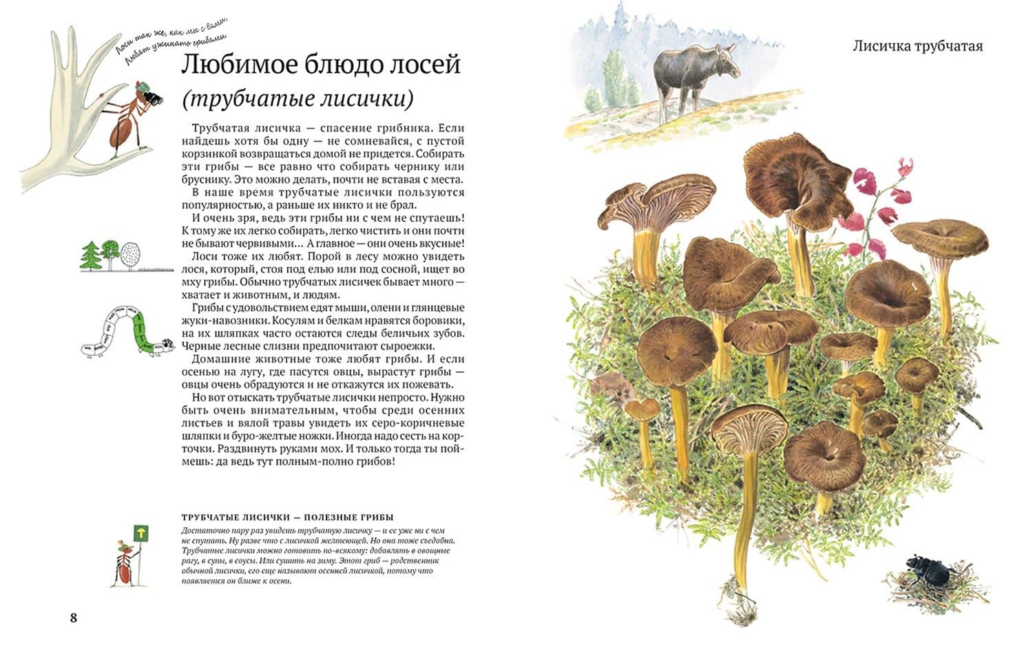 Софи в мире грибов — Стефан Каста (3)