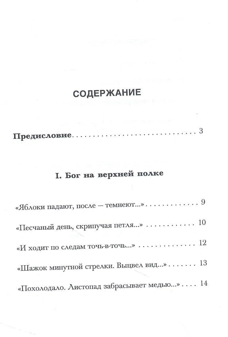 Самосуд: стихотворения — Денис Ткачук (2)