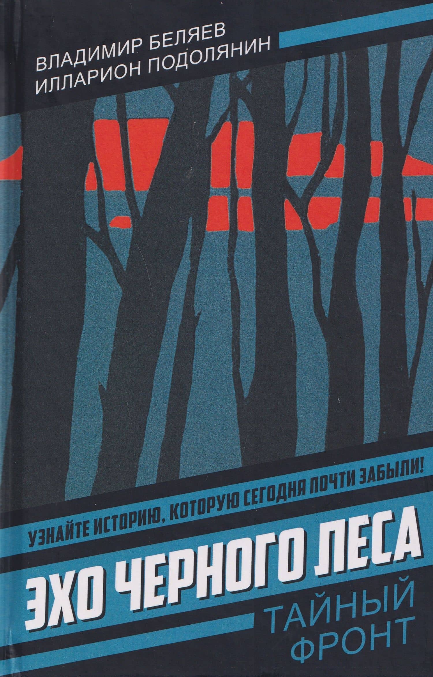 Эхо черного леса — Илларион Васильевич Подолянин