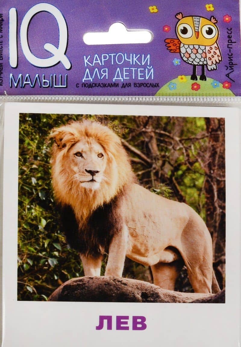 Умный малыш. Животные жарких стран. Набор карточек для детей.