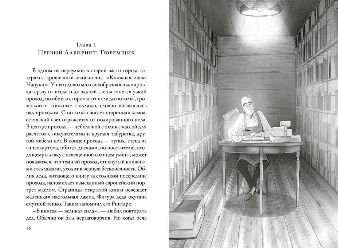 Кот, который любил книги — Сосукэ Нацукава (3)