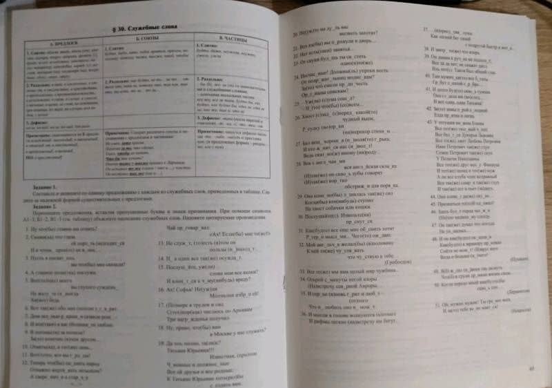 Русский язык. Орфография. Пунктуация — Валерия Витальевна Каверина (3)