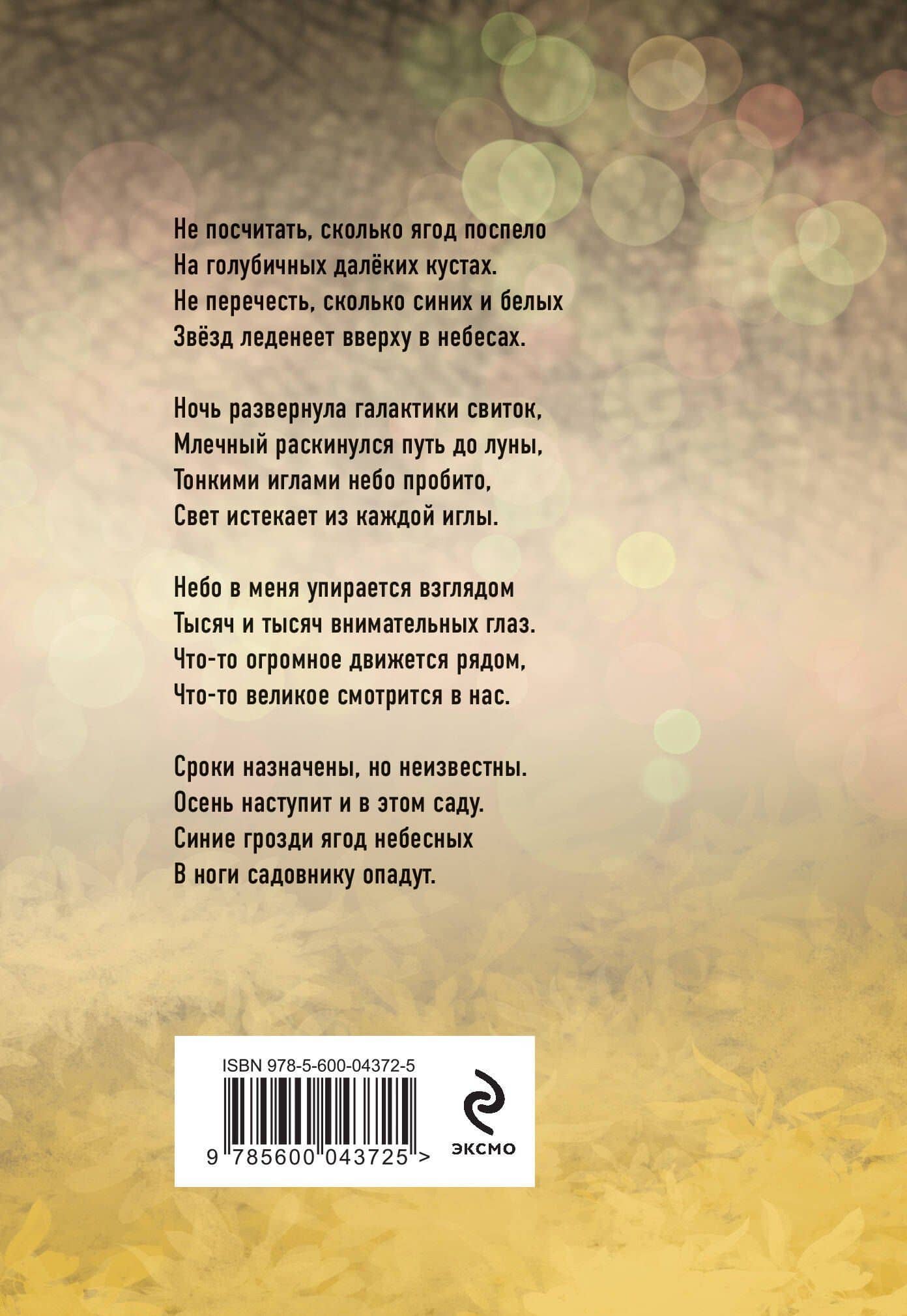 Прекрасная ясность — Юрий Александрович Сорокин (2)