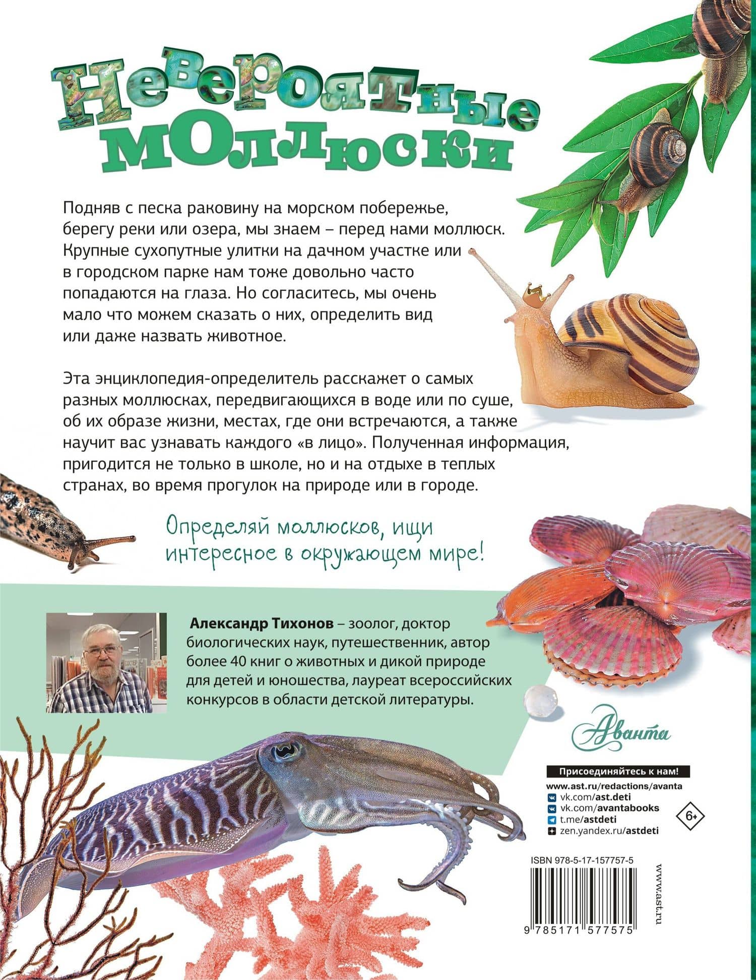 Моллюски, кораллы, морские звезды, морские ежи — Александр Васильевич Тихонов (2)