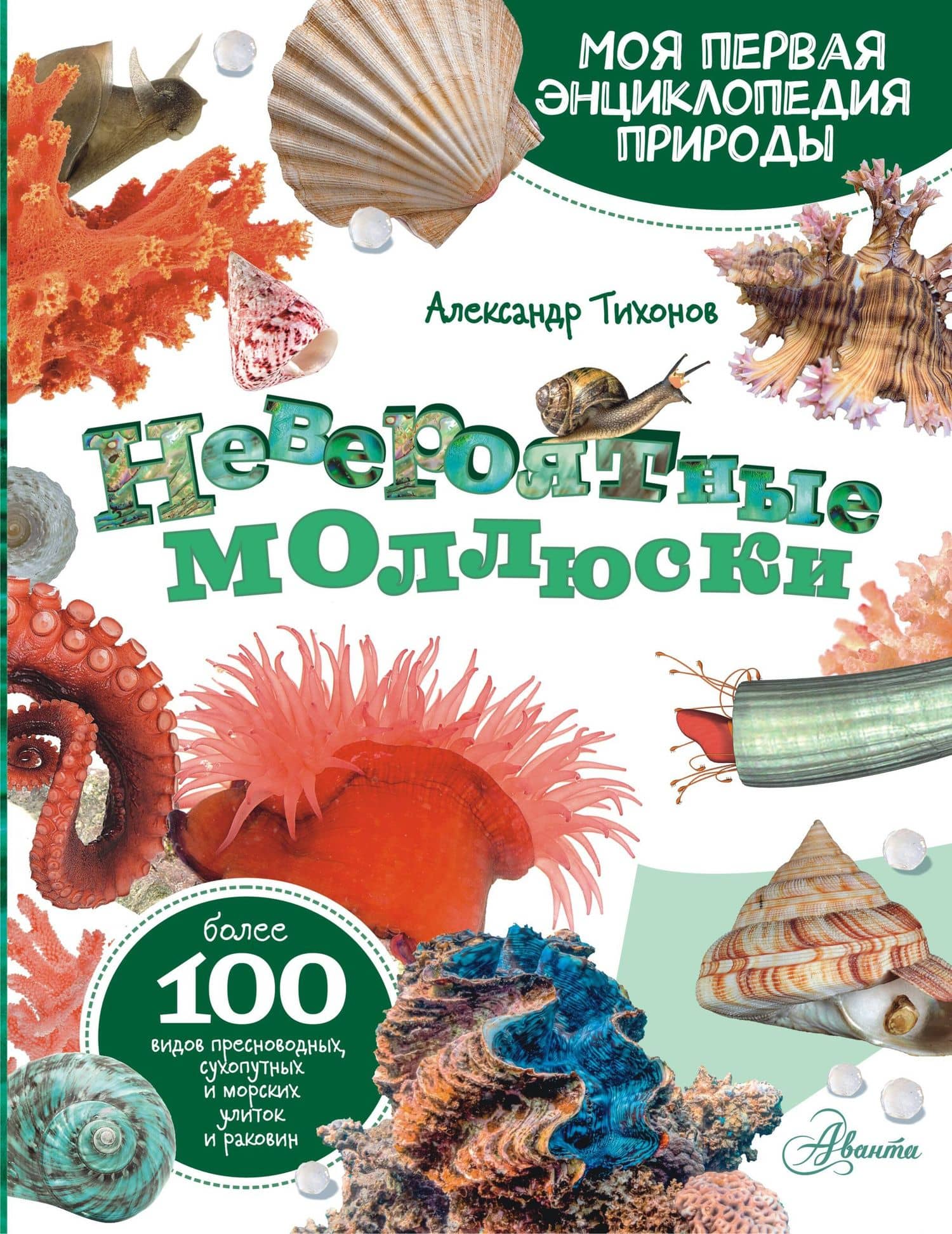 Моллюски, кораллы, морские звезды, морские ежи — Александр Васильевич Тихонов