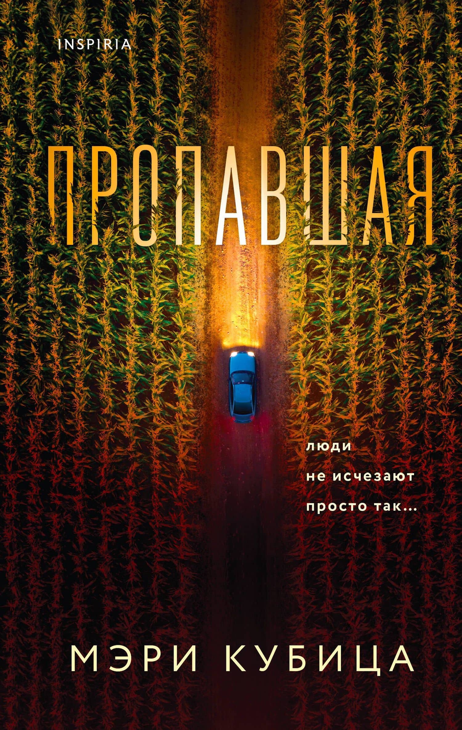 Пропавшая — Мэри Кубица