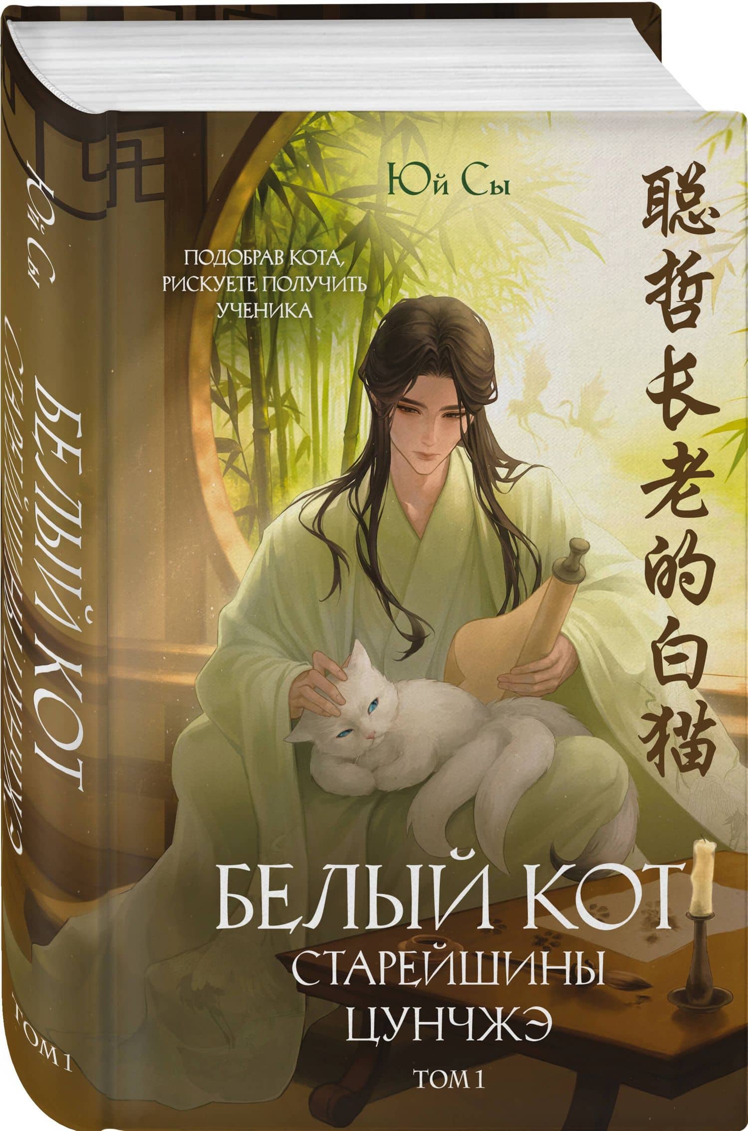 Белый кот старейшины Цунчжэ. Том 1 — Юй Сы (3)