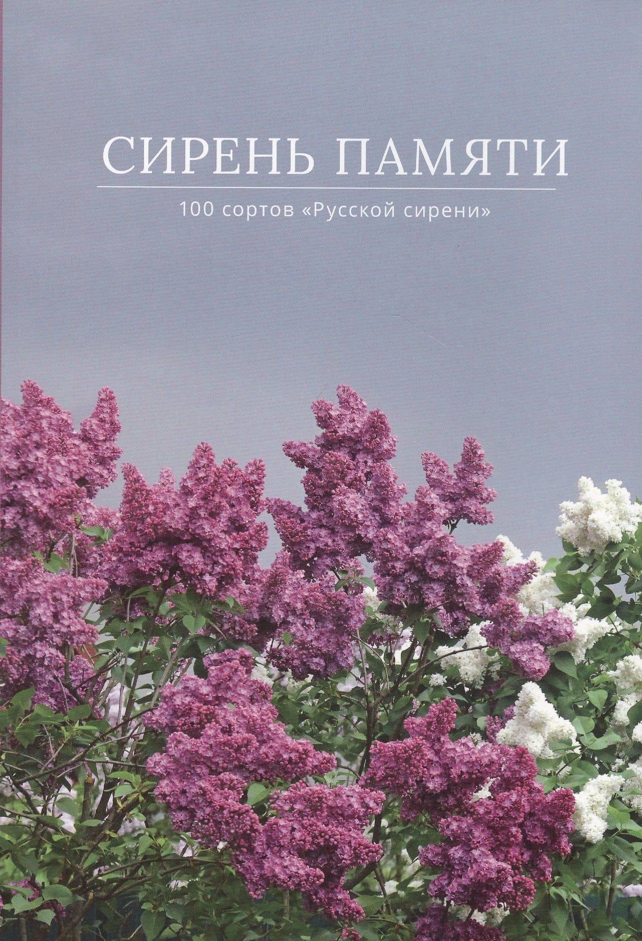 Сирень памяти. 100 сортов "Русской сирени" — А. С. Аладина