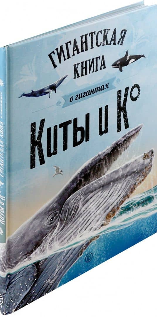 Киты и Ко. Гигантская книга о гигантах (2)