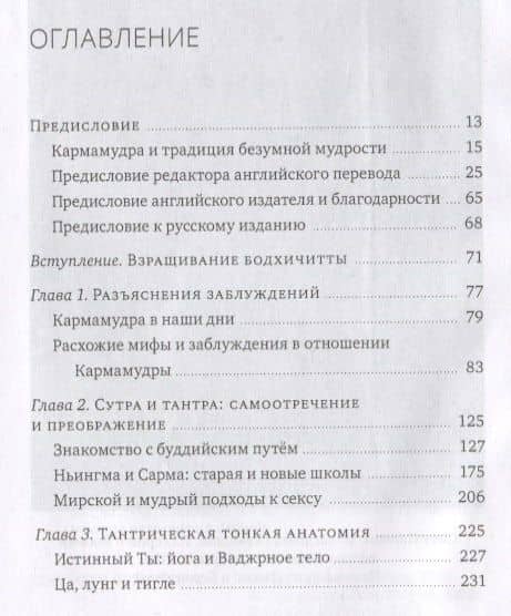 Кармамудра: йога блаженства. Сексуальность в тибетской медицине и буддизме — Нида Ченагцанг (2)