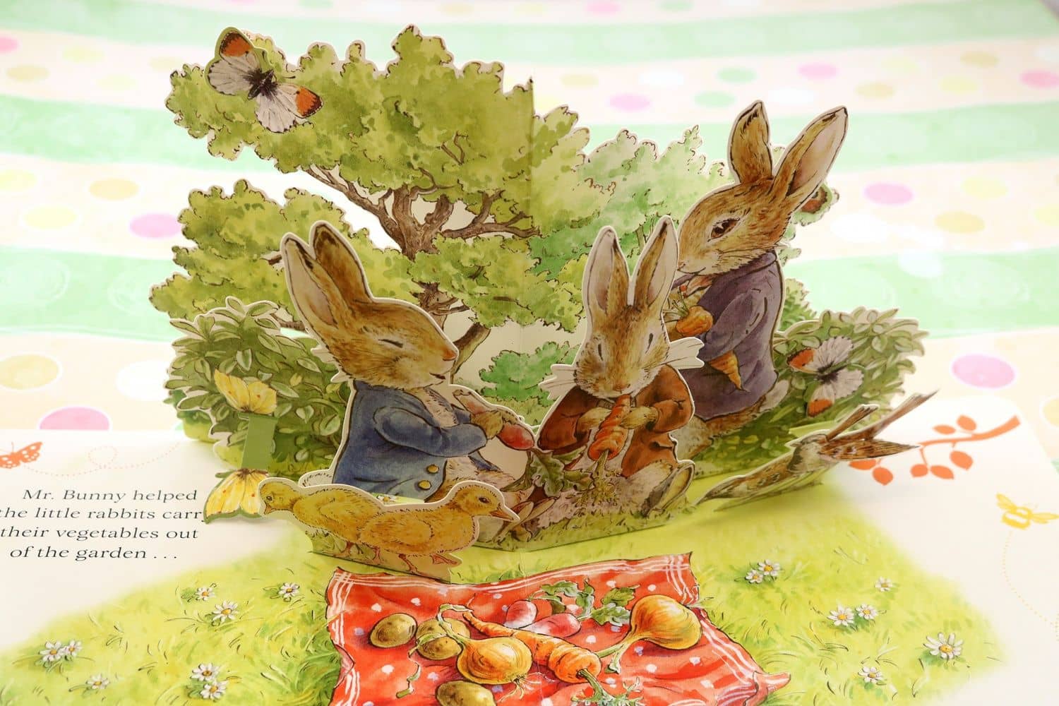 Peter's Picnic. A Pull and Play Book — Beatrix Potter (3)