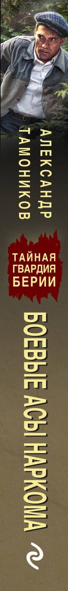 Боевые асы наркома — Александр Александрович Тамоников (3)