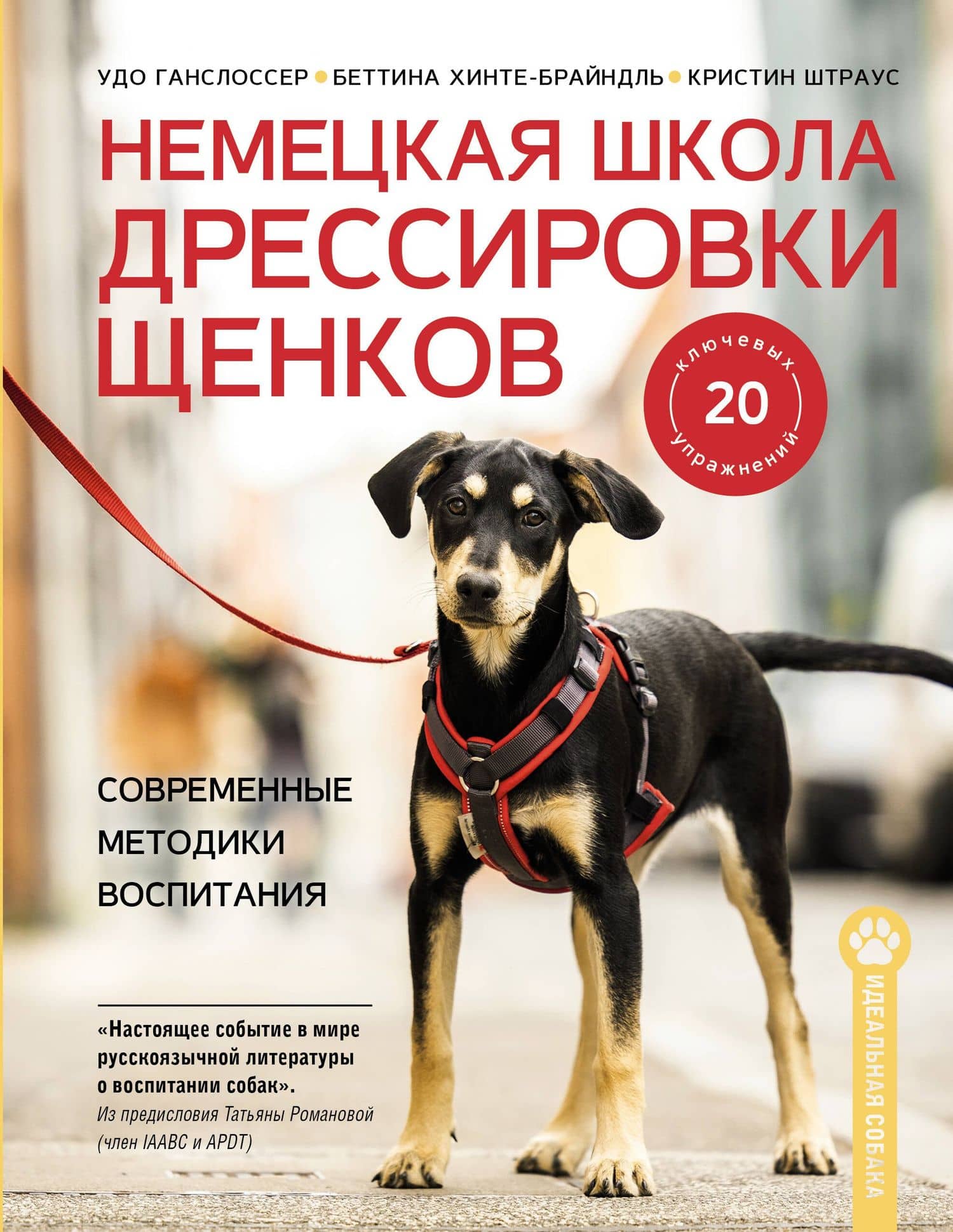 Немецкая школа дрессировки щенков. Современные методики воспитания — Беттина Хинте-Брайндль