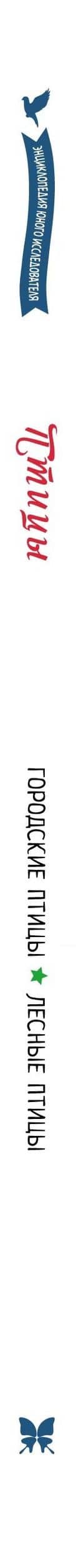 Птицы — Мишель Люшези (3)