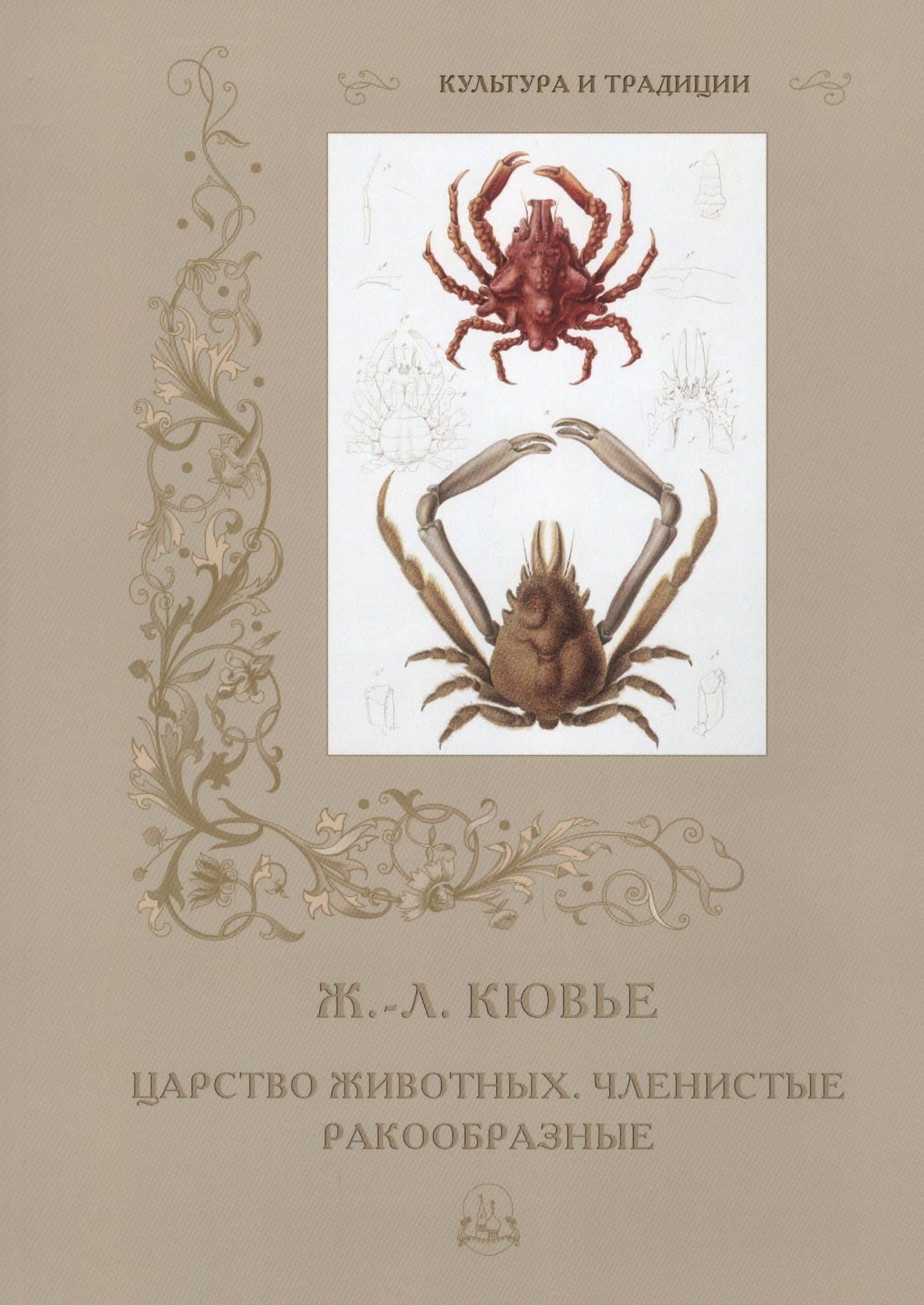 Царство животных. Членистые. Ракообразные — Р. Алдонина