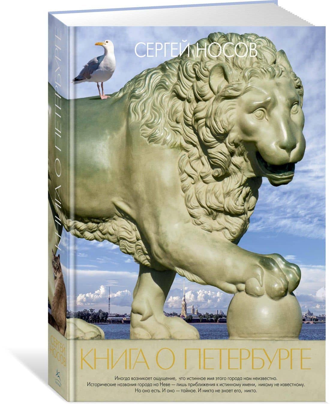 Книга о Петербурге — Сергей Анатольевич Носов (2)