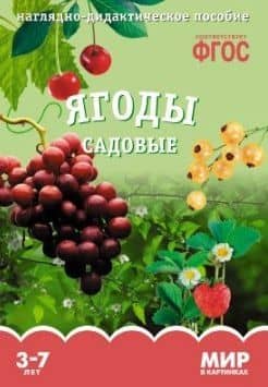 ФГОС Мир в картинках. Ягоды садовые. — Т. Минишева