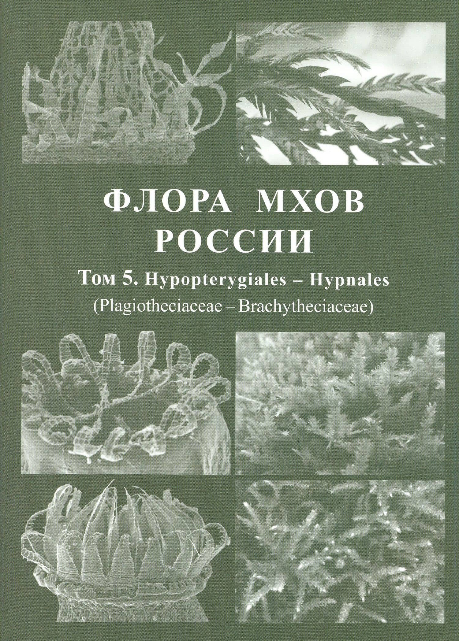 Флора мхов России. Том 5. Hypopterygiales - Hypnales (Plagiotheciaceae - Brachytheciaceae) — М. Игнатов