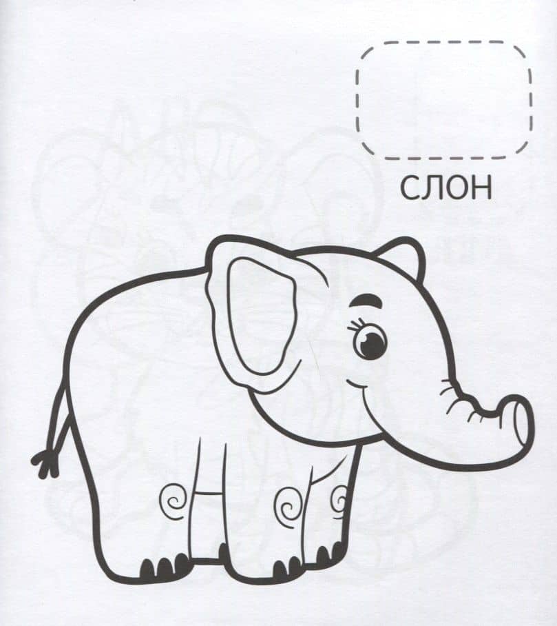 Удивительные животные — Наталья Игоревна Котятова (2)
