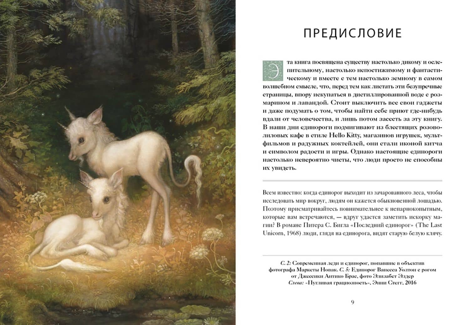 Книга Единорогов. Волшебный путеводитель по страницам фолиантов, глубинам тайных знаний и вершинам — Кэролин Терджен (3)